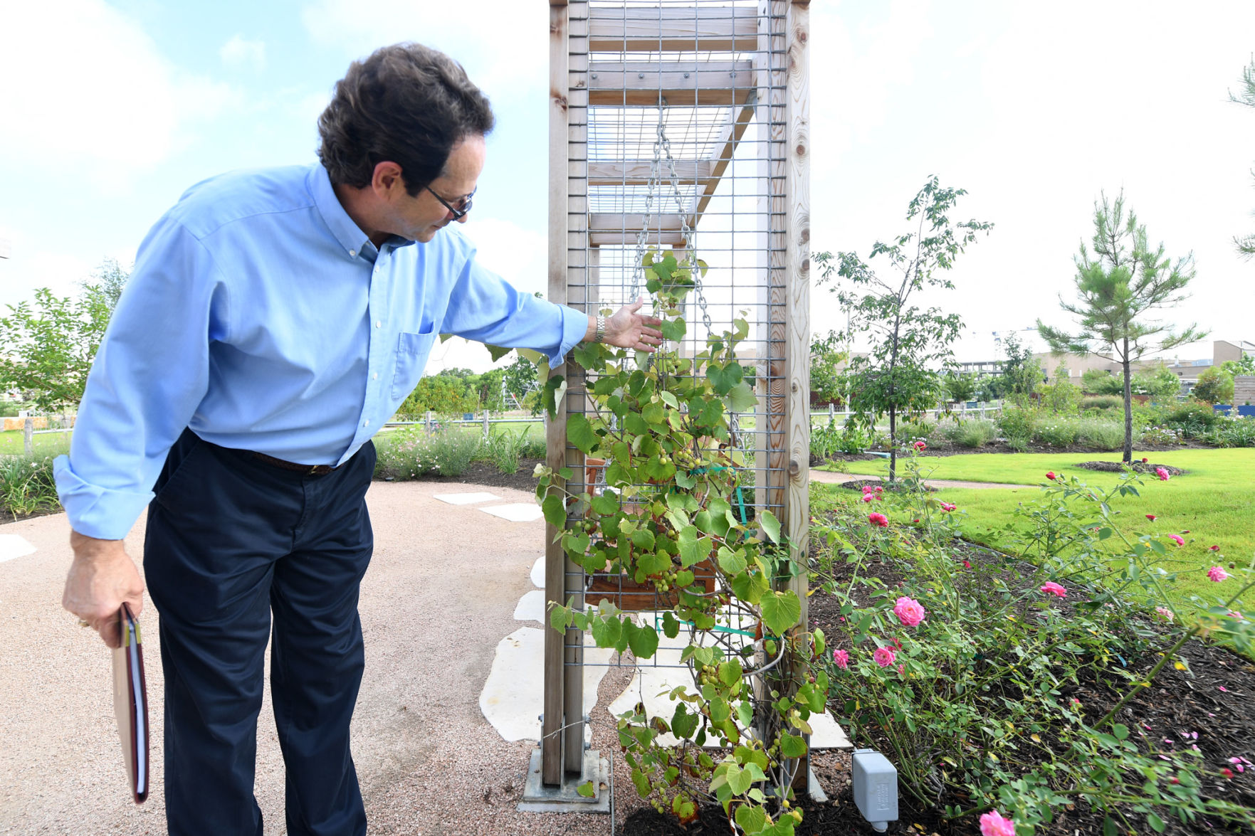 Leach Teaching Gardens